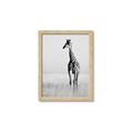 Picture of Through the Grass _GroupedProduct_Rectangle_Portrait_Photography _GroupedProduct_Rectangle_Portrait_Framed_Matted_
