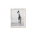 Picture of Through the Grass _GroupedProduct_Rectangle_Portrait_Photography _GroupedProduct_Rectangle_Portrait_Framed_Matted_