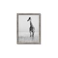 Picture of Through the Grass _GroupedProduct_Rectangle_Portrait_Photography _GroupedProduct_Rectangle_Portrait_Framed_Matted_