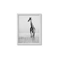 Picture of Through the Grass _GroupedProduct_Rectangle_Portrait_Photography _GroupedProduct_Rectangle_Portrait_Framed_Matted_