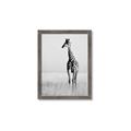 Picture of Through the Grass _GroupedProduct_Rectangle_Portrait_Photography _GroupedProduct_Rectangle_Portrait_Framed_Matted_