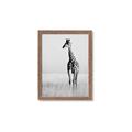 Picture of Through the Grass _GroupedProduct_Rectangle_Portrait_Photography _GroupedProduct_Rectangle_Portrait_Framed_Matted_