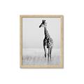 Picture of Through the Grass _GroupedProduct_Rectangle_Portrait_Photography _GroupedProduct_Rectangle_Portrait_Framed_Matted_