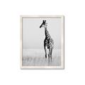 Picture of Through the Grass _GroupedProduct_Rectangle_Portrait_Photography _GroupedProduct_Rectangle_Portrait_Framed_Matted_