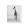 Picture of Through the Grass _GroupedProduct_Rectangle_Portrait_Photography _GroupedProduct_Rectangle_Portrait_Framed_Matted_