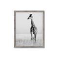 Picture of Through the Grass _GroupedProduct_Rectangle_Portrait_Photography _GroupedProduct_Rectangle_Portrait_Framed_Matted_