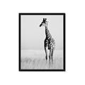Picture of Through the Grass _GroupedProduct_Rectangle_Portrait_Photography _GroupedProduct_Rectangle_Portrait_Framed_Matted_