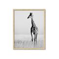 Picture of Through the Grass _GroupedProduct_Rectangle_Portrait_Photography _GroupedProduct_Rectangle_Portrait_Framed_Matted_