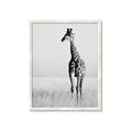 Picture of Through the Grass _GroupedProduct_Rectangle_Portrait_Photography _GroupedProduct_Rectangle_Portrait_Framed_Matted_