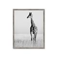 Picture of Through the Grass _GroupedProduct_Rectangle_Portrait_Photography _GroupedProduct_Rectangle_Portrait_Framed_Matted_