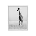 Picture of Through the Grass _GroupedProduct_Rectangle_Portrait_Photography _GroupedProduct_Rectangle_Portrait_Framed_Matted_