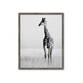 Picture of Through the Grass _GroupedProduct_Rectangle_Portrait_Photography _GroupedProduct_Rectangle_Portrait_Framed_Matted_