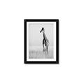 Picture of Through the Grass _GroupedProduct_Rectangle_Portrait_Photography _GroupedProduct_Rectangle_Portrait_Framed_Matted_