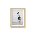 Picture of Through the Grass _GroupedProduct_Rectangle_Portrait_Photography _GroupedProduct_Rectangle_Portrait_Framed_Matted_