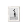 Picture of Through the Grass _GroupedProduct_Rectangle_Portrait_Photography _GroupedProduct_Rectangle_Portrait_Framed_Matted_