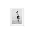 Picture of Through the Grass _GroupedProduct_Rectangle_Portrait_Photography _GroupedProduct_Rectangle_Portrait_Framed_Matted_