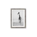 Picture of Through the Grass _GroupedProduct_Rectangle_Portrait_Photography _GroupedProduct_Rectangle_Portrait_Framed_Matted_