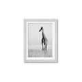 Picture of Through the Grass _GroupedProduct_Rectangle_Portrait_Photography _GroupedProduct_Rectangle_Portrait_Framed_Matted_