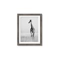 Picture of Through the Grass _GroupedProduct_Rectangle_Portrait_Photography _GroupedProduct_Rectangle_Portrait_Framed_Matted_