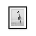 Picture of Through the Grass _GroupedProduct_Rectangle_Portrait_Photography _GroupedProduct_Rectangle_Portrait_Framed_Matted_