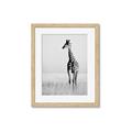 Picture of Through the Grass _GroupedProduct_Rectangle_Portrait_Photography _GroupedProduct_Rectangle_Portrait_Framed_Matted_