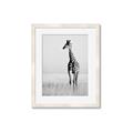 Picture of Through the Grass _GroupedProduct_Rectangle_Portrait_Photography _GroupedProduct_Rectangle_Portrait_Framed_Matted_