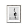 Picture of Through the Grass _GroupedProduct_Rectangle_Portrait_Photography _GroupedProduct_Rectangle_Portrait_Framed_Matted_