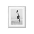 Picture of Through the Grass _GroupedProduct_Rectangle_Portrait_Photography _GroupedProduct_Rectangle_Portrait_Framed_Matted_