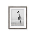 Picture of Through the Grass _GroupedProduct_Rectangle_Portrait_Photography _GroupedProduct_Rectangle_Portrait_Framed_Matted_