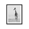 Picture of Through the Grass _GroupedProduct_Rectangle_Portrait_Photography _GroupedProduct_Rectangle_Portrait_Framed_Matted_