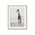 Picture of Through the Grass _GroupedProduct_Rectangle_Portrait_Photography _GroupedProduct_Rectangle_Portrait_Framed_Matted_