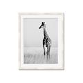 Picture of Through the Grass _GroupedProduct_Rectangle_Portrait_Photography _GroupedProduct_Rectangle_Portrait_Framed_Matted_