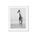 Picture of Through the Grass _GroupedProduct_Rectangle_Portrait_Photography _GroupedProduct_Rectangle_Portrait_Framed_Matted_