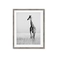 Picture of Through the Grass _GroupedProduct_Rectangle_Portrait_Photography _GroupedProduct_Rectangle_Portrait_Framed_Matted_