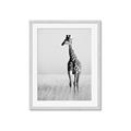 Picture of Through the Grass _GroupedProduct_Rectangle_Portrait_Photography _GroupedProduct_Rectangle_Portrait_Framed_Matted_