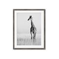 Picture of Through the Grass _GroupedProduct_Rectangle_Portrait_Photography _GroupedProduct_Rectangle_Portrait_Framed_Matted_