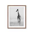 Picture of Through the Grass _GroupedProduct_Rectangle_Portrait_Photography _GroupedProduct_Rectangle_Portrait_Framed_Matted_