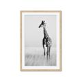 Picture of Through the Grass _GroupedProduct_Rectangle_Portrait_Photography _GroupedProduct_Rectangle_Portrait_Framed_Matted_