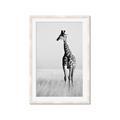 Picture of Through the Grass _GroupedProduct_Rectangle_Portrait_Photography _GroupedProduct_Rectangle_Portrait_Framed_Matted_