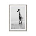 Picture of Through the Grass _GroupedProduct_Rectangle_Portrait_Photography _GroupedProduct_Rectangle_Portrait_Framed_Matted_