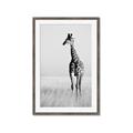 Picture of Through the Grass _GroupedProduct_Rectangle_Portrait_Photography _GroupedProduct_Rectangle_Portrait_Framed_Matted_