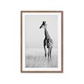 Picture of Through the Grass _GroupedProduct_Rectangle_Portrait_Photography _GroupedProduct_Rectangle_Portrait_Framed_Matted_