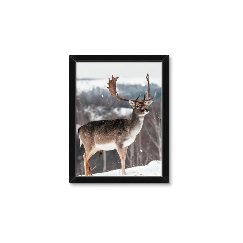 Picture of Waiting in Snow _GroupedProduct_Rectangle_Portrait_Photography _GroupedProduct_Rectangle_Portrait_Framed_Matted_