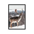 Picture of Waiting in Snow _GroupedProduct_Rectangle_Portrait_Photography _GroupedProduct_Rectangle_Portrait_Framed_Matted_
