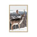 Picture of Waiting in Snow _GroupedProduct_Rectangle_Portrait_Photography _GroupedProduct_Rectangle_Portrait_Framed_Matted_