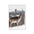 Picture of Waiting in Snow _GroupedProduct_Rectangle_Portrait_Photography _GroupedProduct_Rectangle_Portrait_Framed_Matted_