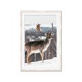 Picture of Waiting in Snow _GroupedProduct_Rectangle_Portrait_Photography _GroupedProduct_Rectangle_Portrait_Framed_Matted_