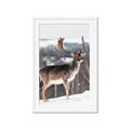 Picture of Waiting in Snow _GroupedProduct_Rectangle_Portrait_Photography _GroupedProduct_Rectangle_Portrait_Framed_Matted_