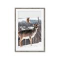 Picture of Waiting in Snow _GroupedProduct_Rectangle_Portrait_Photography _GroupedProduct_Rectangle_Portrait_Framed_Matted_