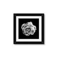Picture of Black and White Rose _GroupedProduct_Square_Framed_Matted_